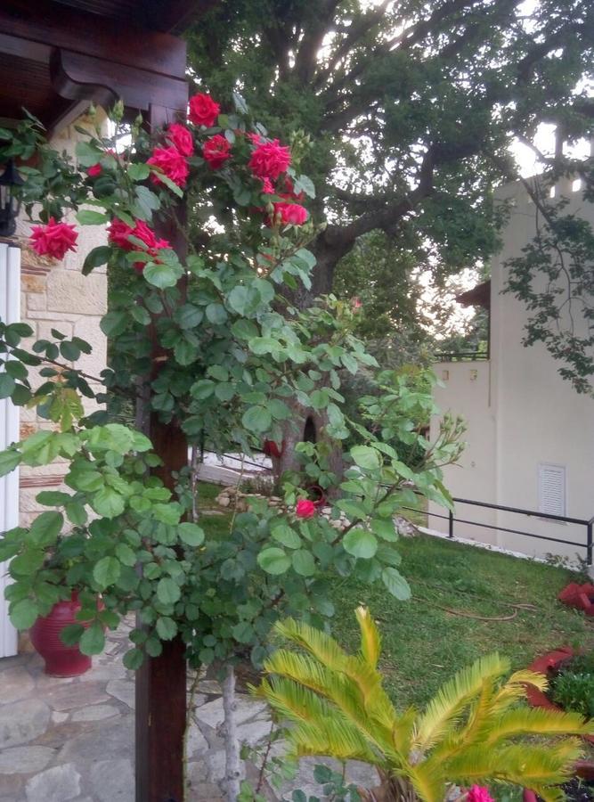 Paradise Kriopigi Exterior photo